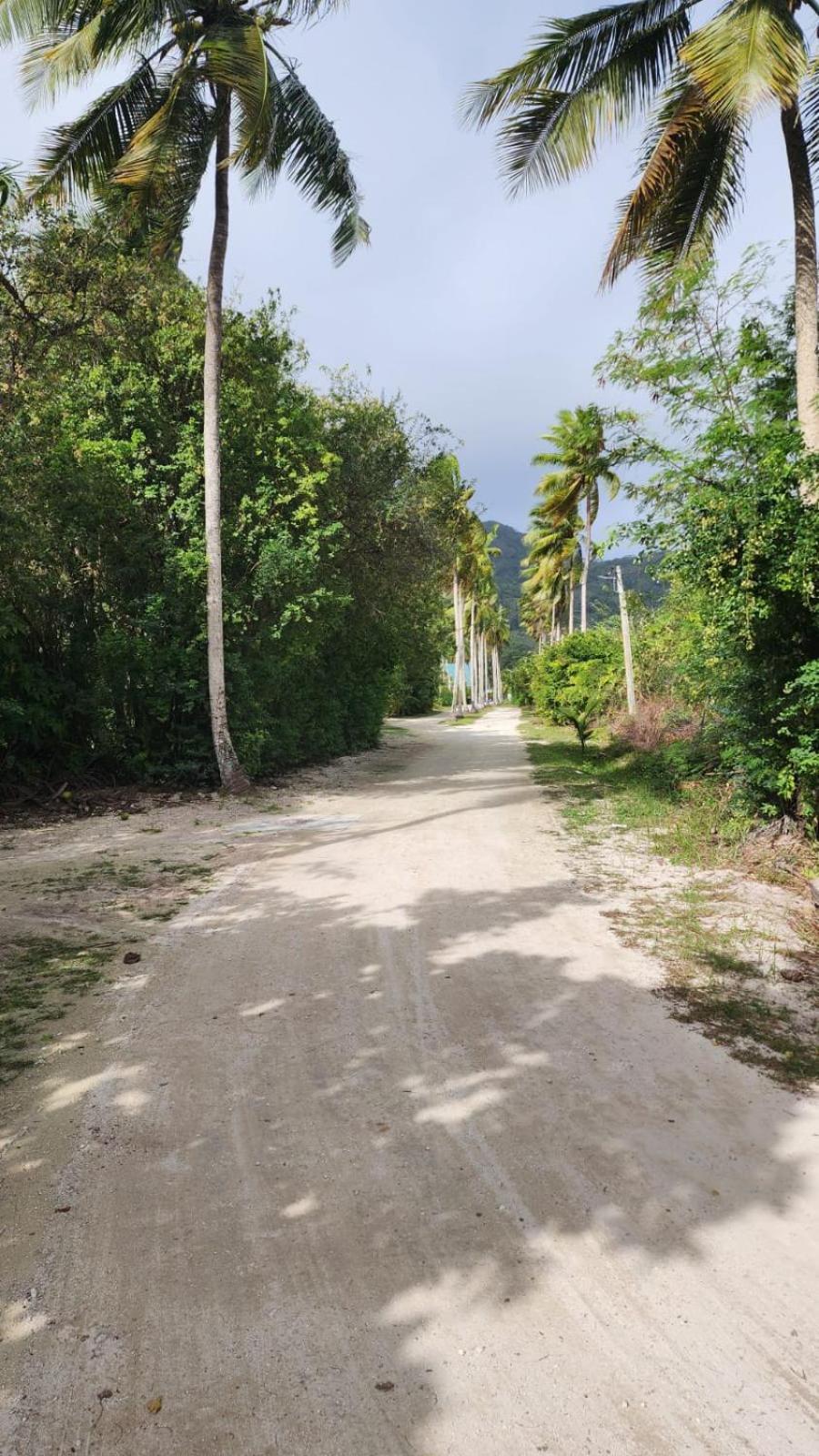 Lianita'S Cottage Đảo Đảo La Digue Ngoại thất bức ảnh